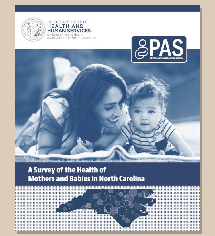 Pregnancy Assessment System